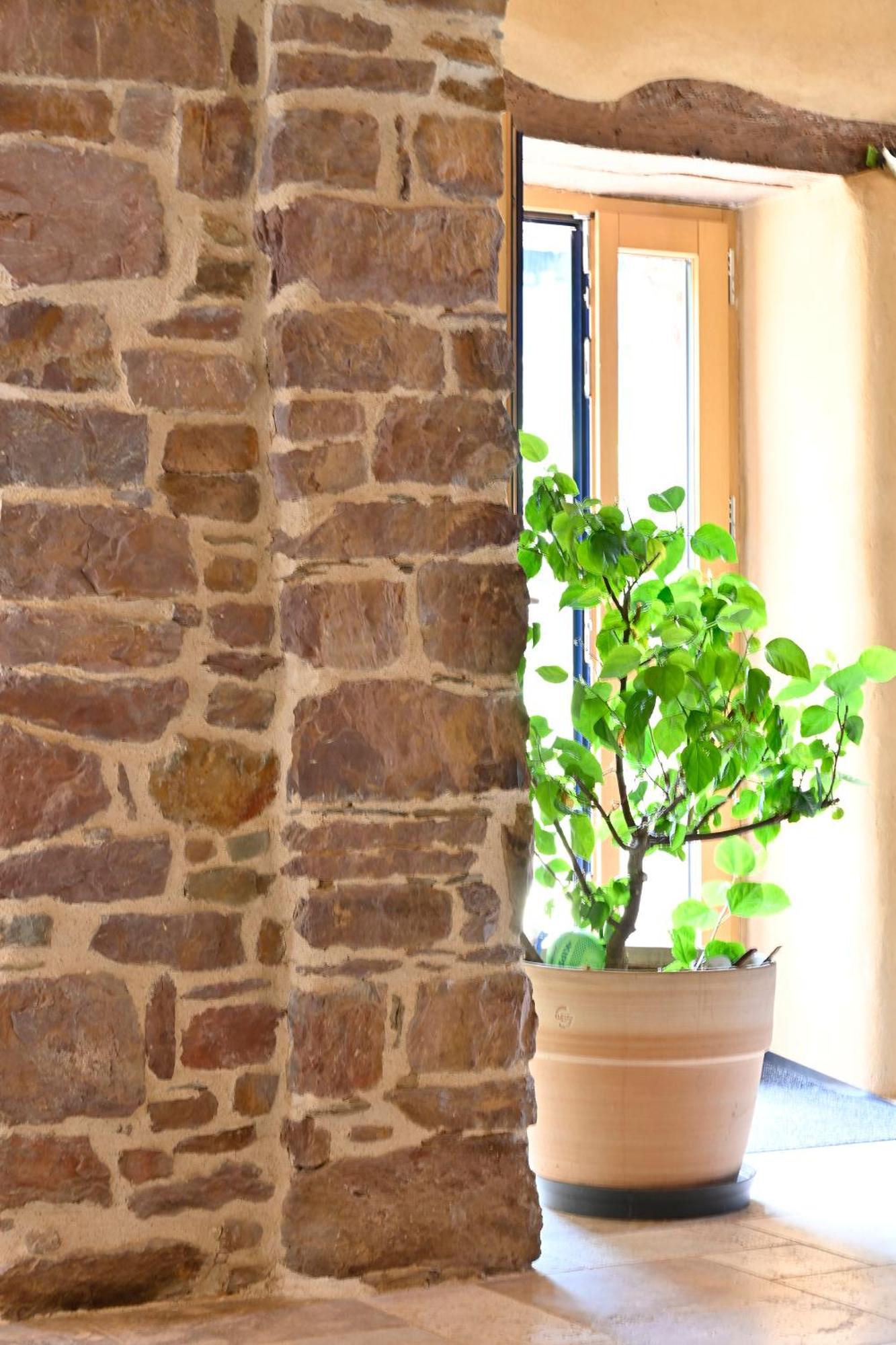 Bed & Breakfast Les Aux Loups En Broceliande *